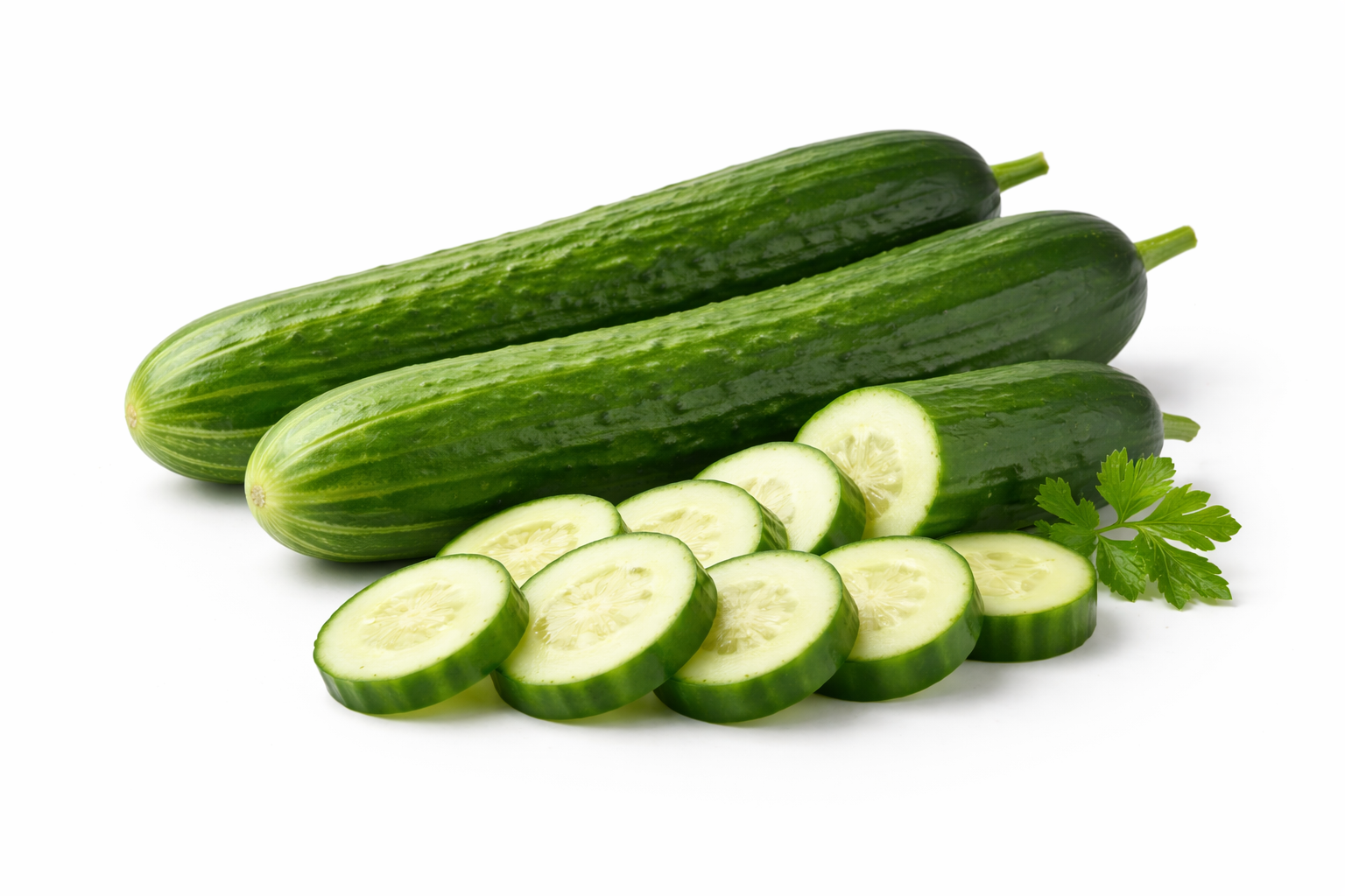 European Cucumber